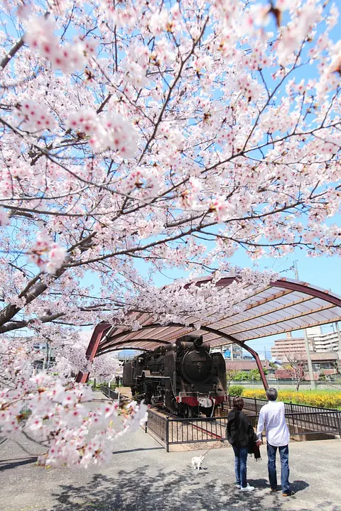 鉄道のまち・王寺 舟戸児童公園のSL | スポット一覧 | 【公式