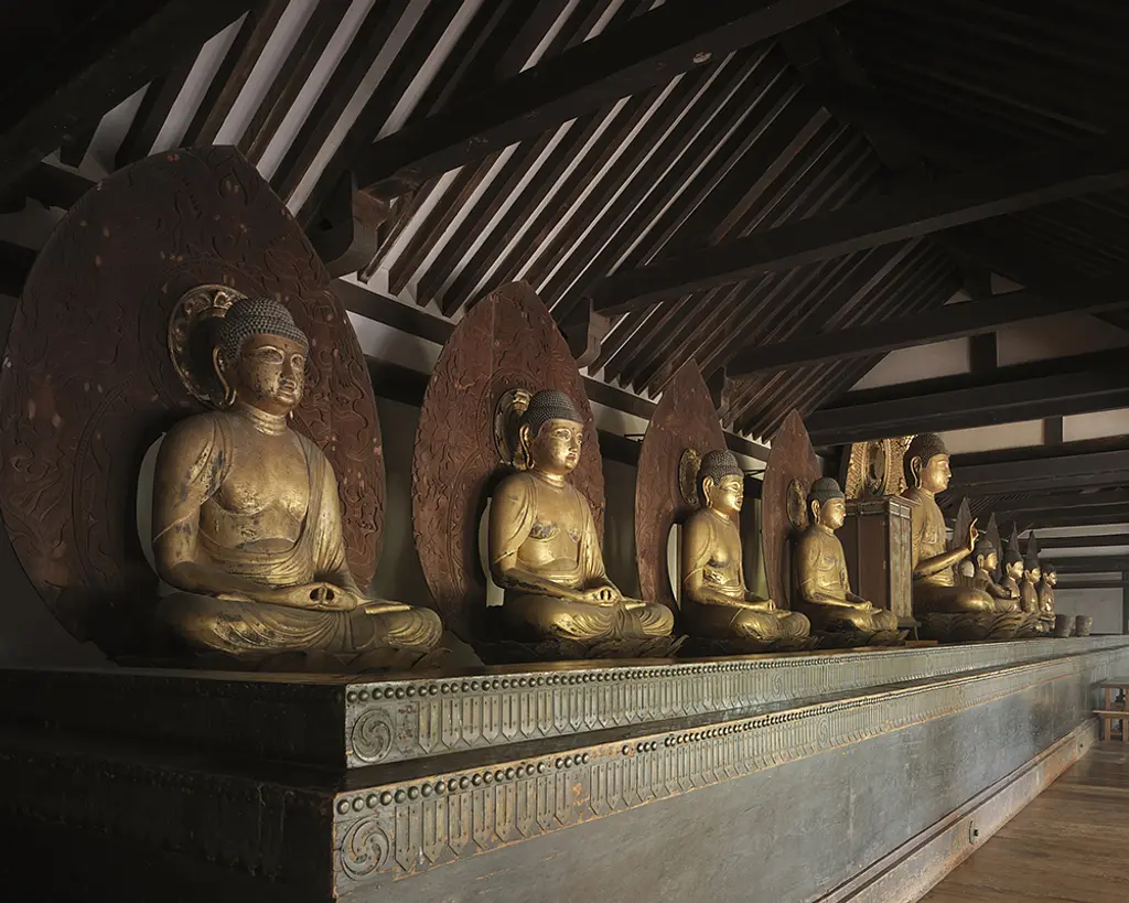 京都府南部_浄瑠璃寺_240502.jpg