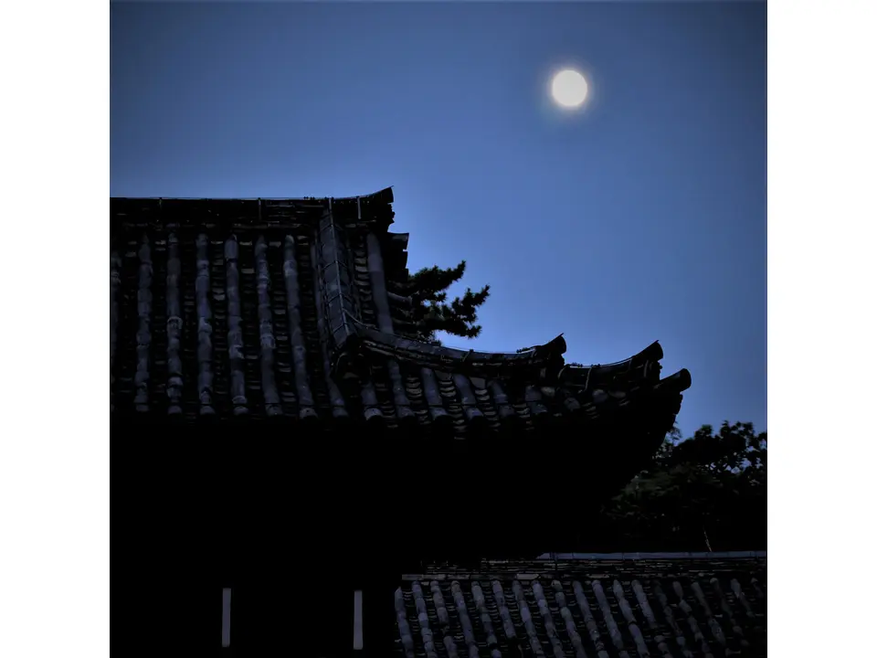 写真提供：唐招提寺