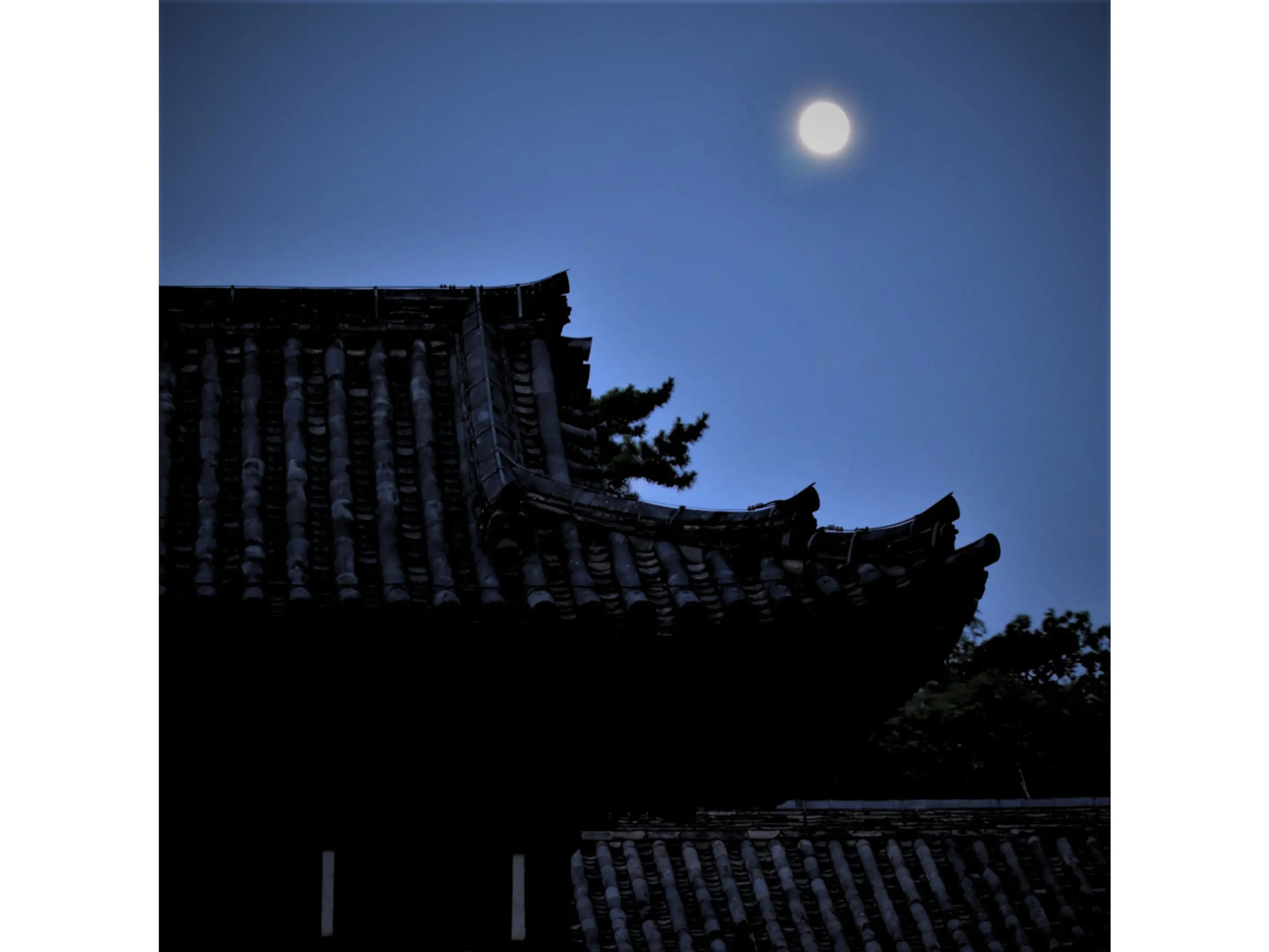 写真提供：唐招提寺