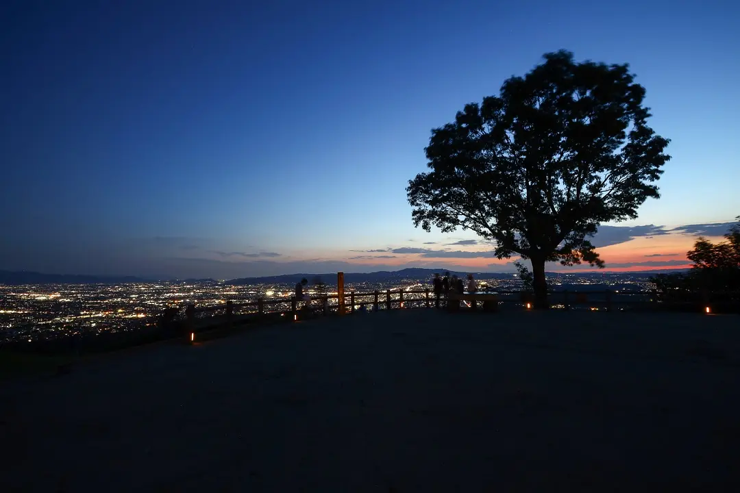 若草山山頂の夕景から夜景を楽しめるバス／奈良若草山トワイライト・夜景観賞バス
