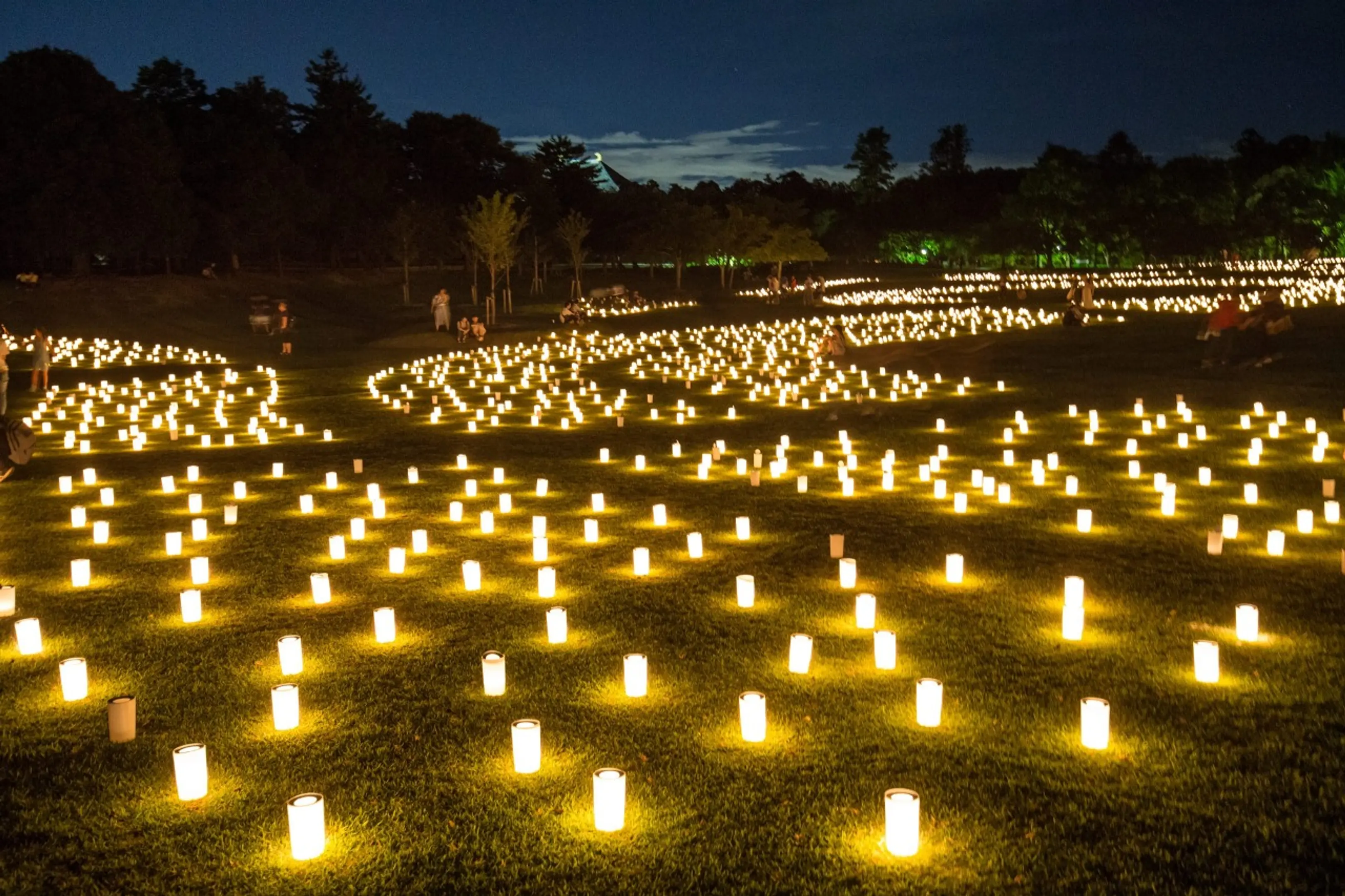 Photo:Courtesy of Association of Nara Tokae Festival
