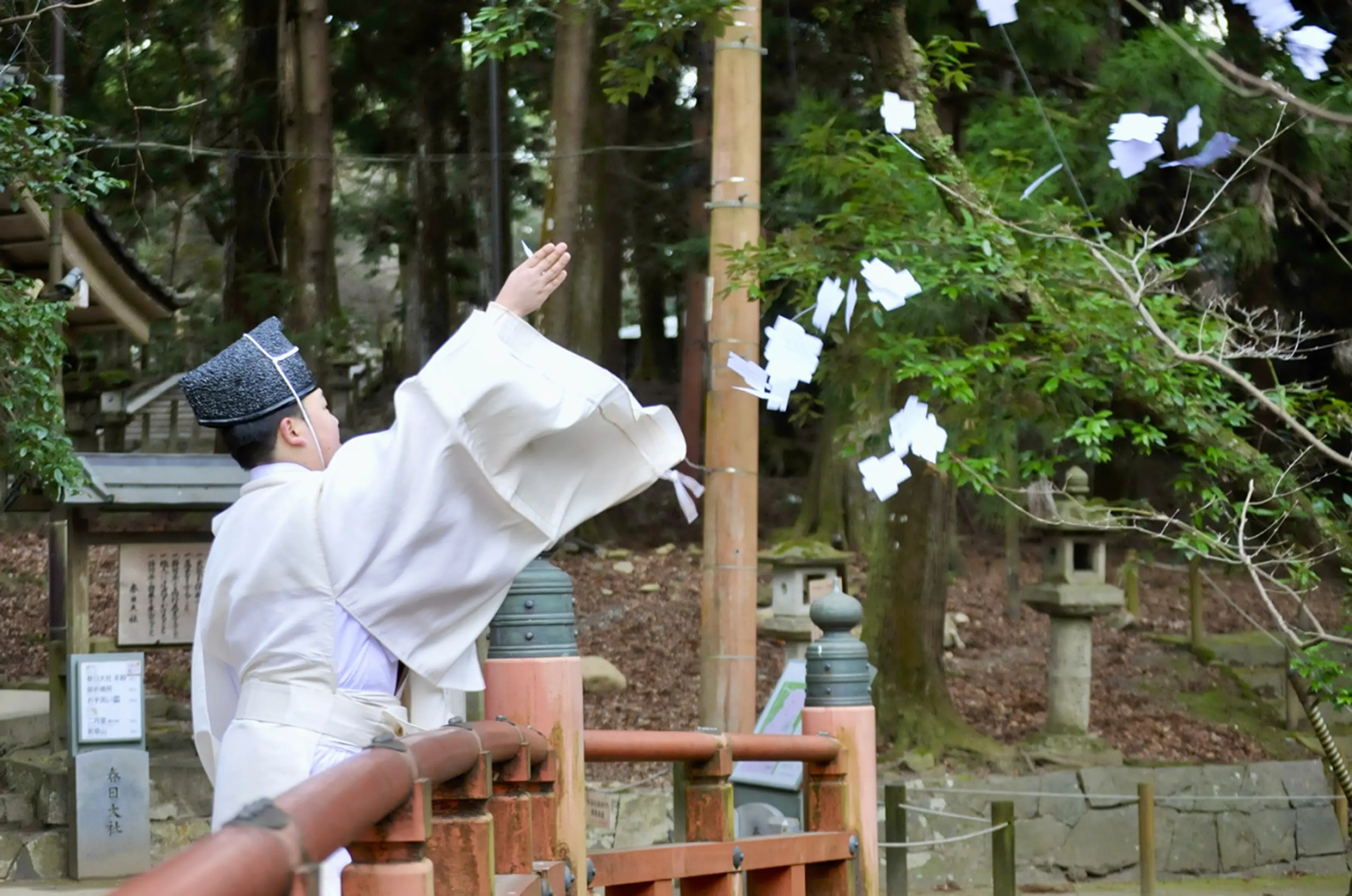 写真提供：春日大社