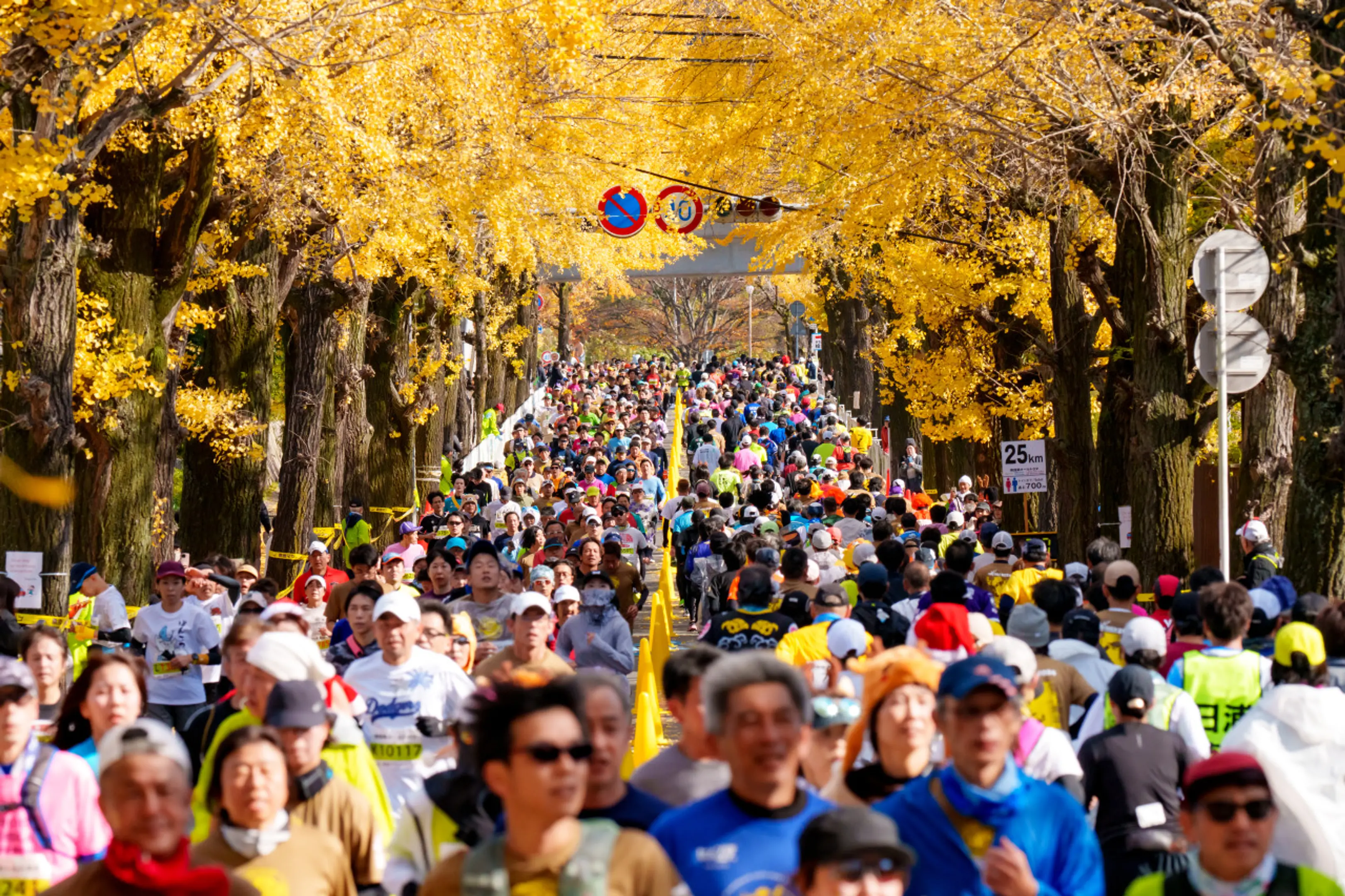 画像提供：ならマラソン実行委員会