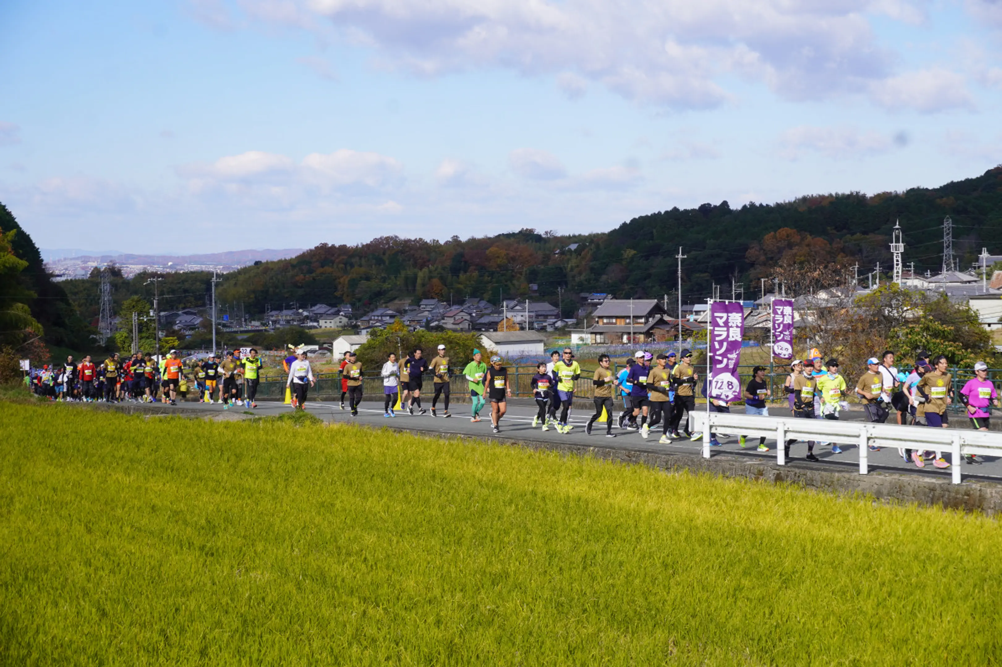 画像提供：ならマラソン実行委員会