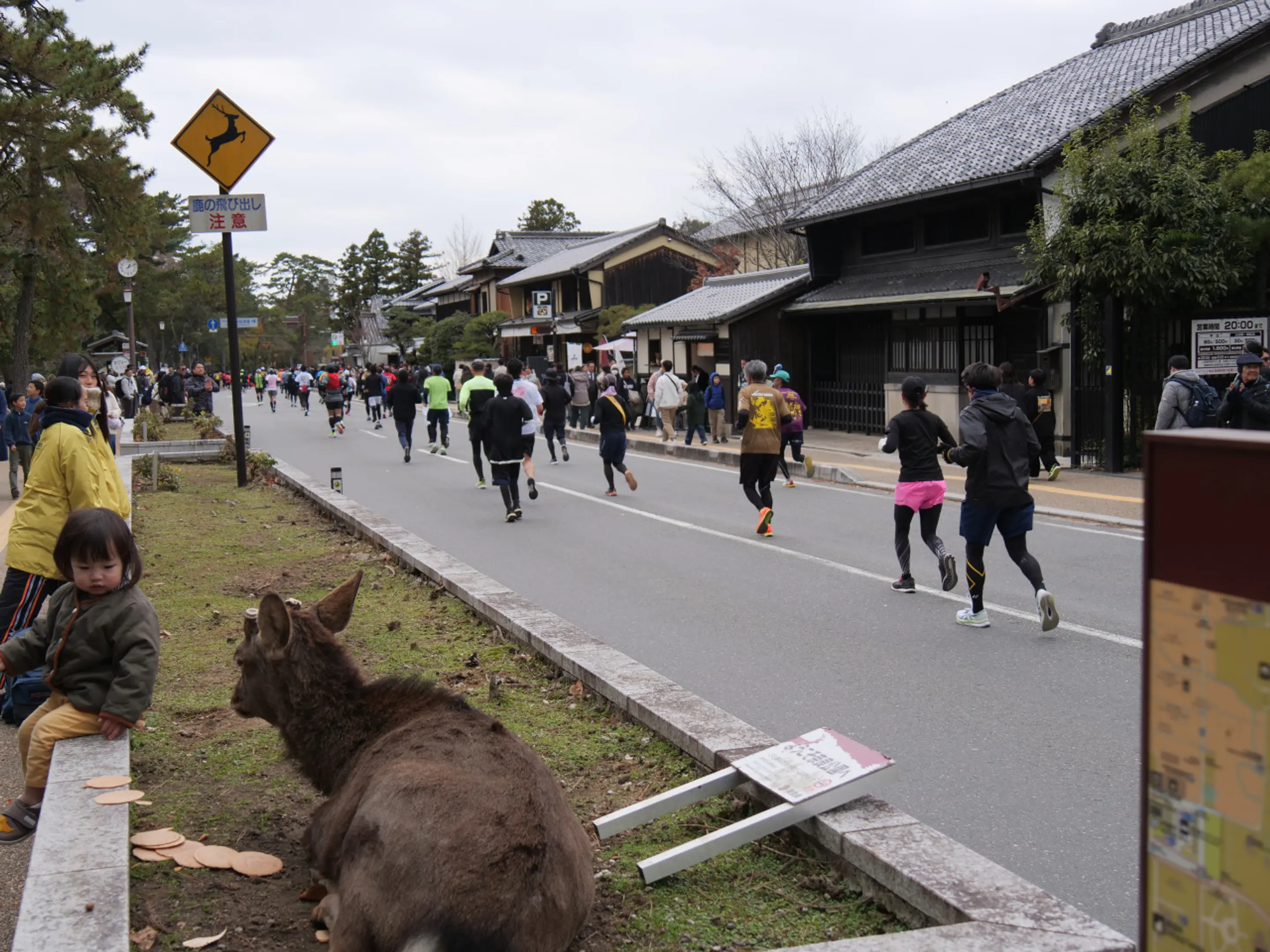 画像提供：ならマラソン実行委員会