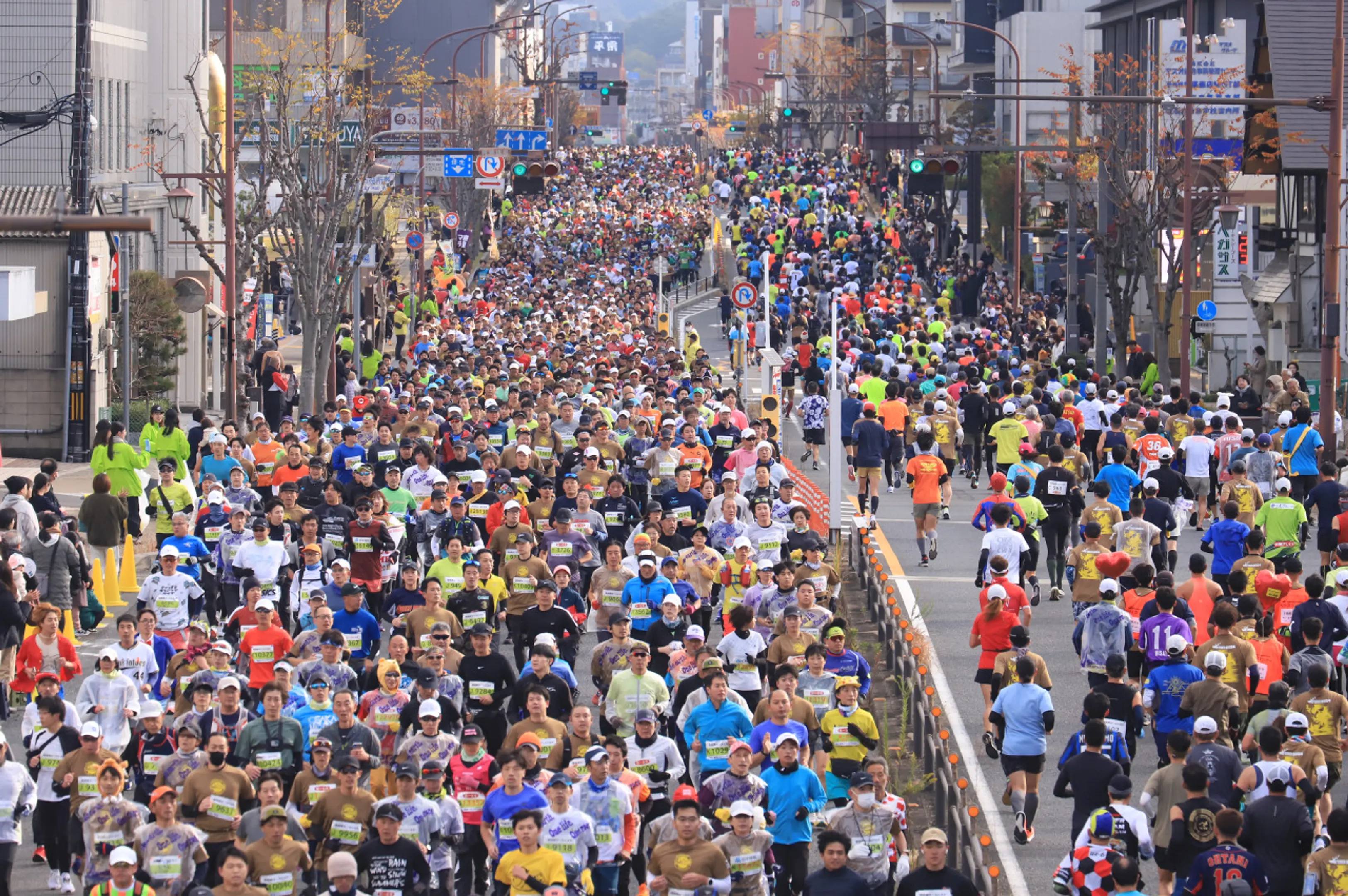 画像提供：ならマラソン実行委員会