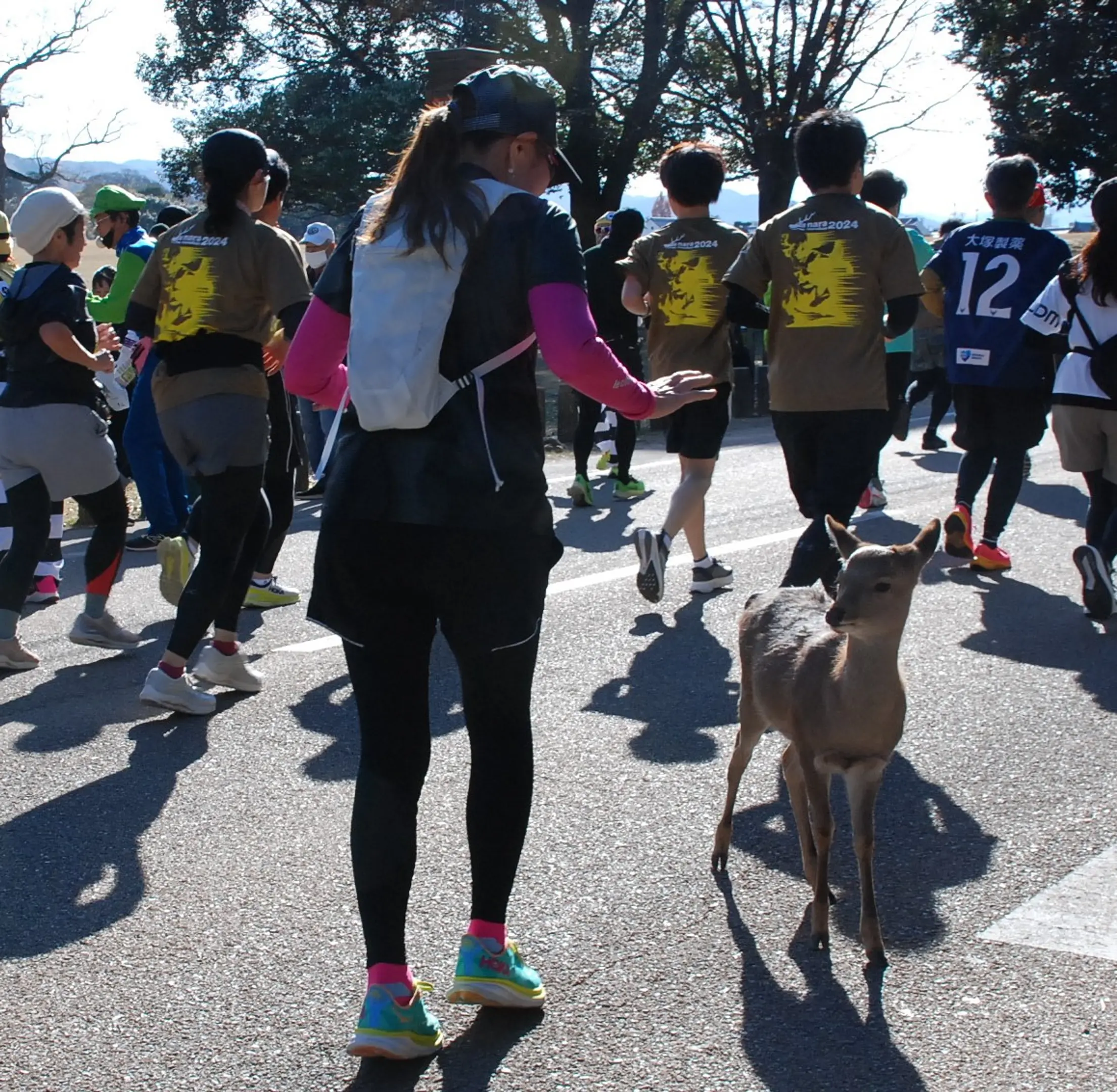画像提供：ならマラソン実行委員会