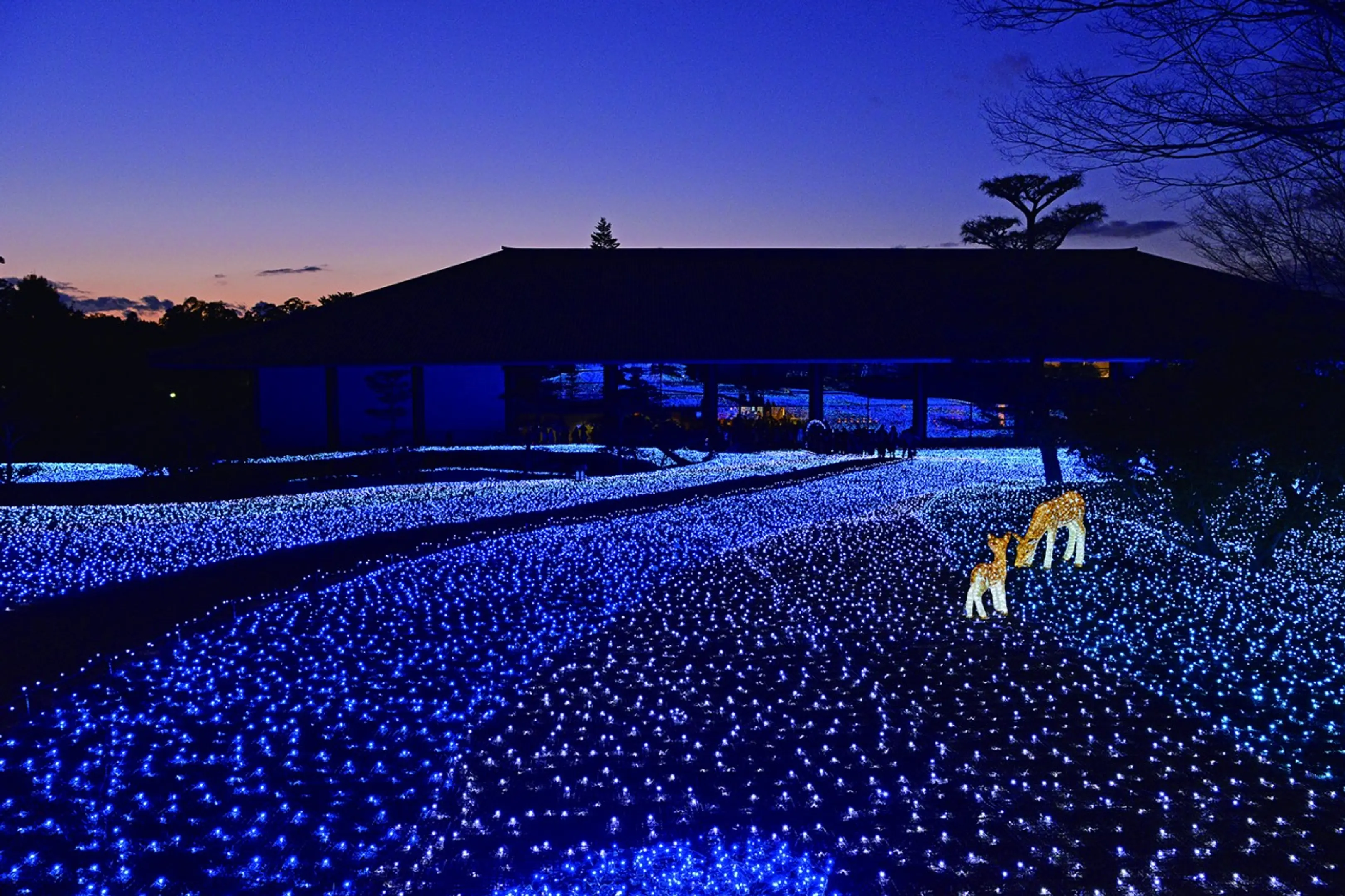 写真提供：なら瑠璃絵実行委員会