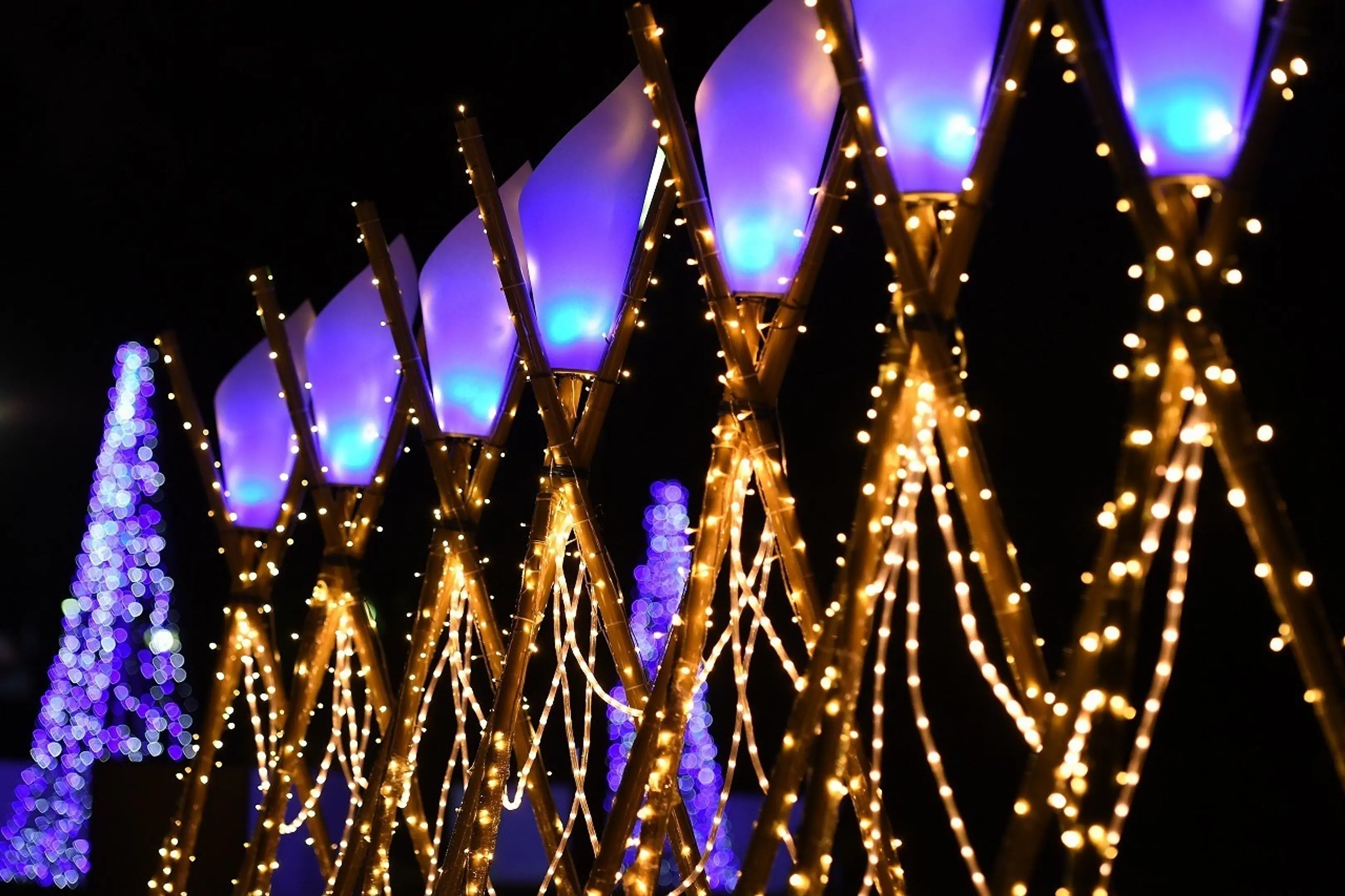 写真提供：なら瑠璃絵実行委員会