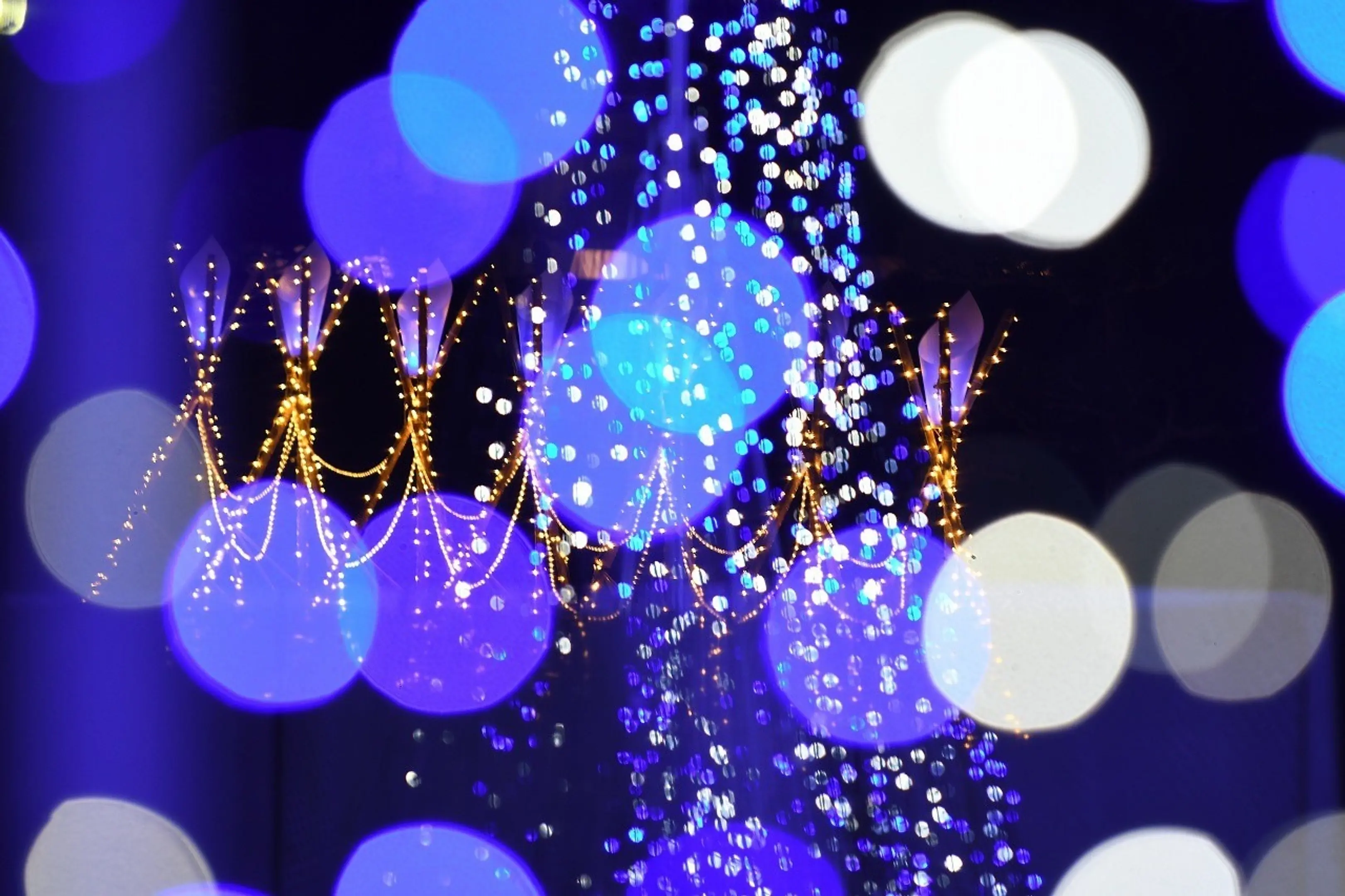 写真提供：なら瑠璃絵実行委員会