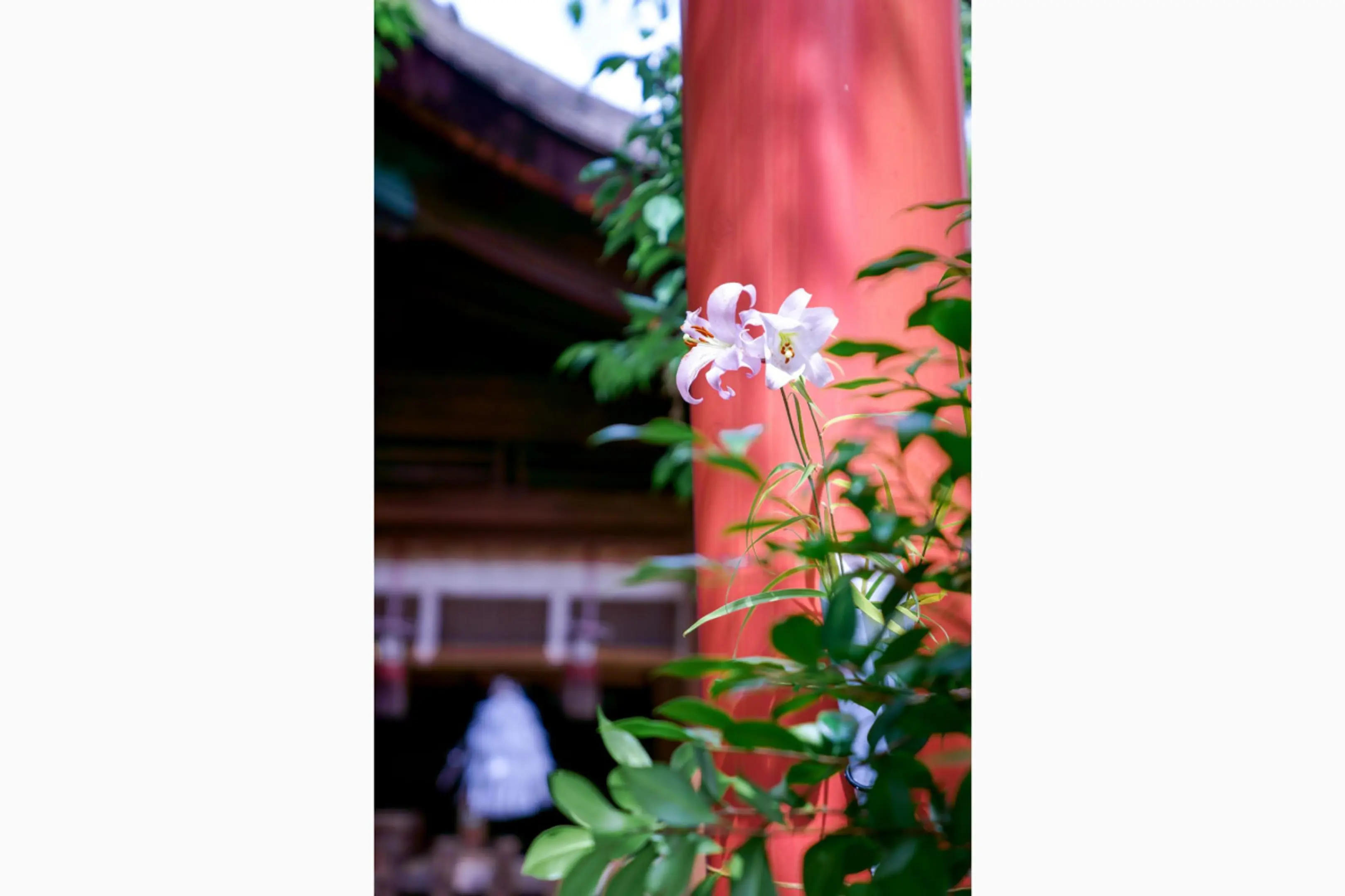 写真提供：漢國神社